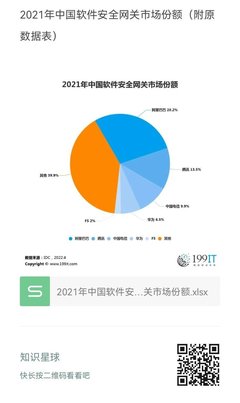 2021年中國(guó)軟件安全網(wǎng)關(guān)市場(chǎng)格局深度解析與數(shù)據(jù)透視